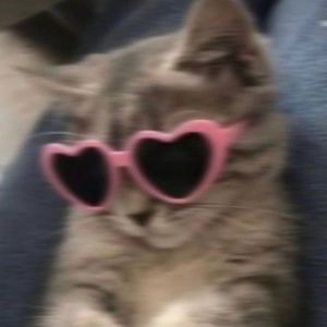 Meet your Posher, Mimi